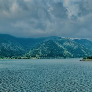 富士五湖,河口湖,西湖,富士箱根伊豆国立公園,富士山,山梨県,森,風景,景観,絶景,