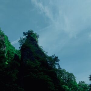 奥多摩,西多摩郡,自然,秘境,秋川渓谷,森,林,自然,