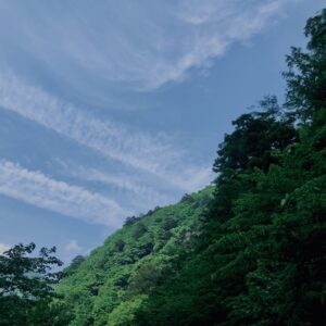 奥多摩,西多摩郡,自然,秘境,秋川渓谷,森,林,自然,