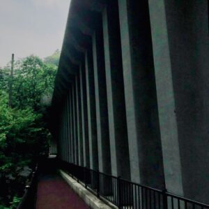 道,山道,田舎,トンネル,峠,道路,
