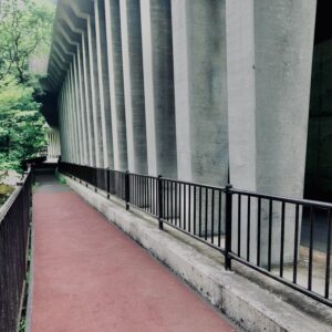 道,山道,田舎,トンネル,峠,道路,