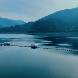 奥多摩湖, 小河内ダム,湖,ダム,西多摩郡,自然,秘境,秋川渓谷,森,林,自然,