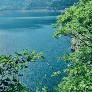 奥多摩湖, 小河内ダム,湖,ダム,西多摩郡,自然,秘境,秋川渓谷,森,林,自然,