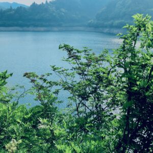 奥多摩湖, 小河内ダム,湖,ダム,西多摩郡,自然,秘境,秋川渓谷,森,林,自然,