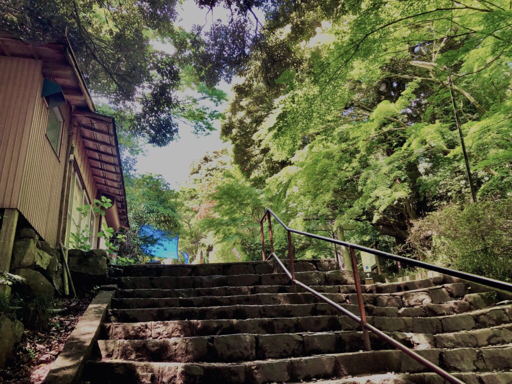 筑波山,茨城県,自然,風景,百名山,男体山,女体山,山,トレッキング,日帰り登山,