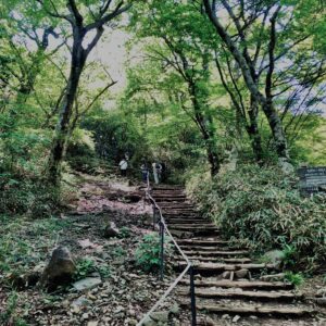筑波山,茨城県,自然,風景,百名山,男体山,女体山,山,トレッキング,日帰り登山,
