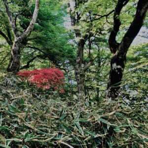筑波山,茨城県,自然,風景,百名山,男体山,女体山,山,トレッキング,日帰り登山,