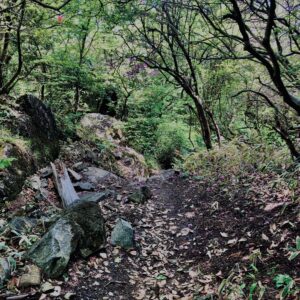 筑波山,茨城県,自然,風景,百名山,男体山,女体山,山,トレッキング,日帰り登山,