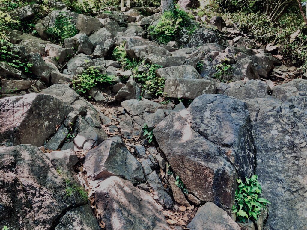 筑波山,茨城県,自然,風景,百名山,男体山,女体山,山,トレッキング,日帰り登山,
