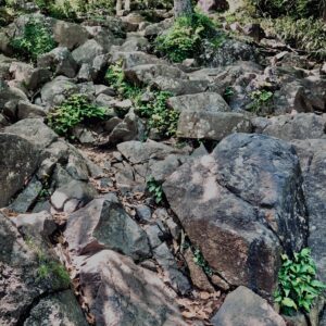 筑波山,茨城県,自然,風景,百名山,男体山,女体山,山,トレッキング,日帰り登山,