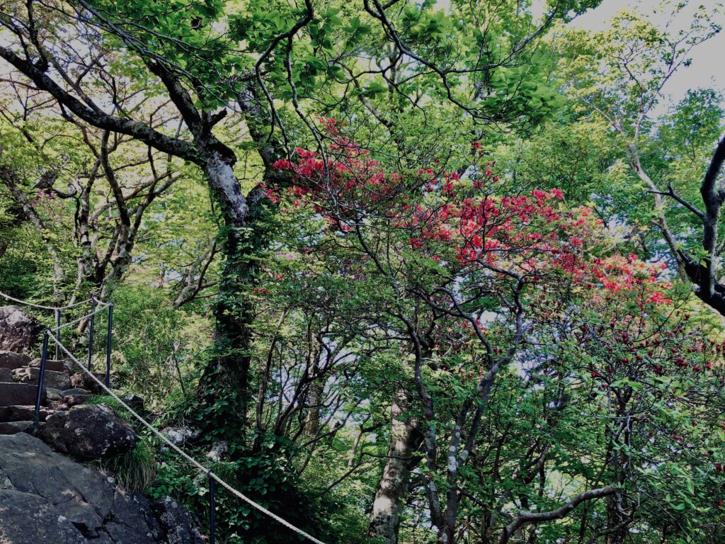 筑波山,茨城県,自然,風景,百名山,男体山,女体山,山,トレッキング,日帰り登山,