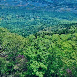 筑波山,茨城県,自然,風景,百名山,男体山,女体山,山,トレッキング,日帰り登山,