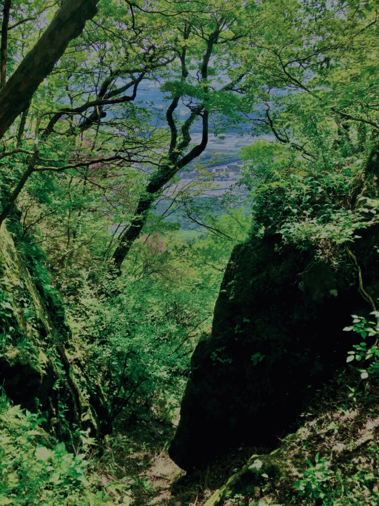 筑波山,茨城県,自然,風景,百名山,男体山,女体山,山,トレッキング,日帰り登山,