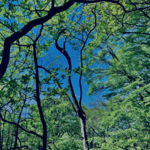 筑波山,茨城県,自然,風景,百名山,男体山,女体山,山,トレッキング,日帰り登山,