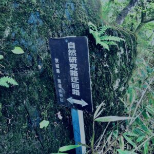 筑波山,茨城県,自然,風景,百名山,男体山,女体山,山,トレッキング,日帰り登山,