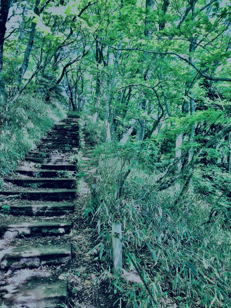 筑波山,茨城県,自然,風景,百名山,男体山,女体山,山,トレッキング,日帰り登山,