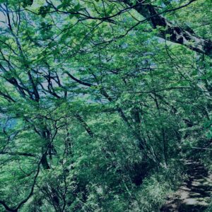 筑波山,茨城県,自然,風景,百名山,男体山,女体山,山,トレッキング,日帰り登山,