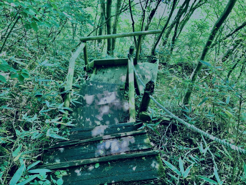 筑波山,茨城県,自然,風景,百名山,男体山,女体山,山,トレッキング,日帰り登山,
