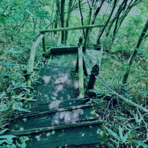 筑波山,茨城県,自然,風景,百名山,男体山,女体山,山,トレッキング,日帰り登山,