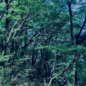 筑波山,茨城県,自然,風景,百名山,男体山,女体山,山,トレッキング,日帰り登山,
