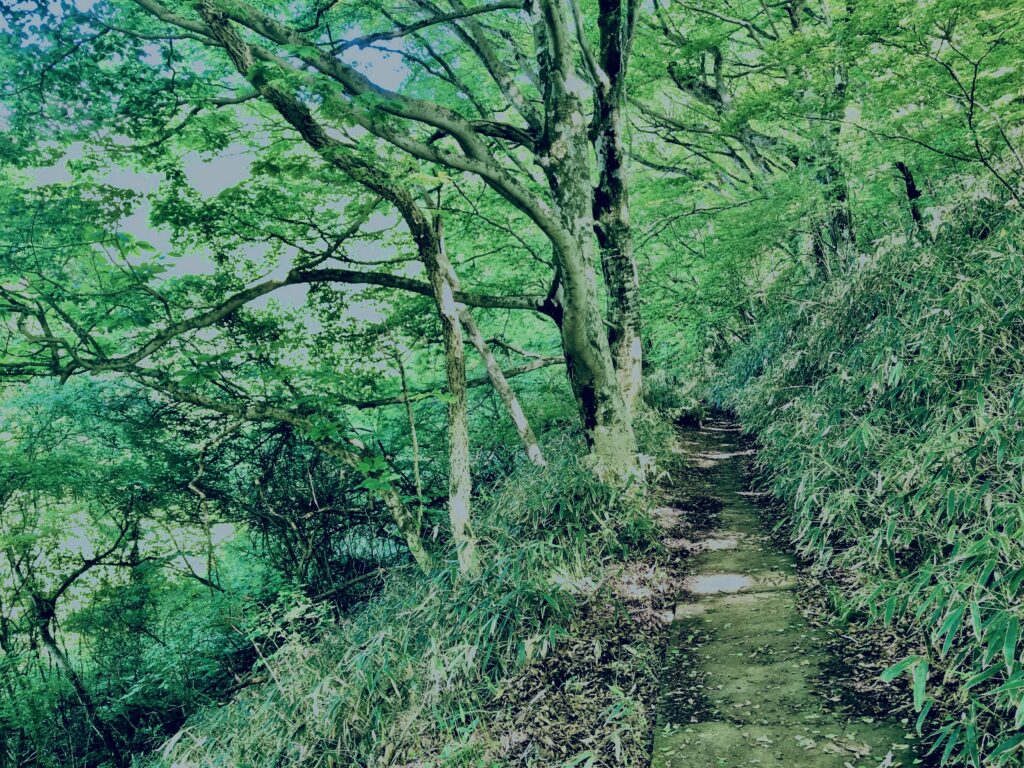 筑波山,茨城県,自然,風景,百名山,男体山,女体山,山,トレッキング,日帰り登山,
