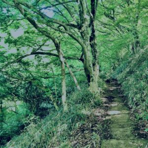 筑波山,茨城県,自然,風景,百名山,男体山,女体山,山,トレッキング,日帰り登山,