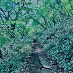 筑波山,茨城県,自然,風景,百名山,男体山,女体山,山,トレッキング,日帰り登山,