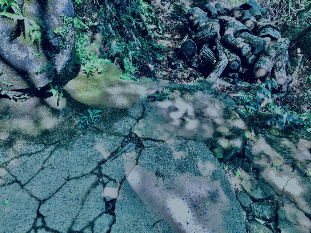 筑波山,茨城県,自然,風景,百名山,男体山,女体山,山,トレッキング,日帰り登山,