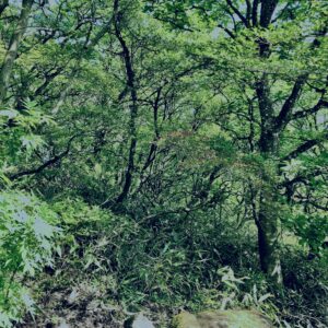 筑波山,茨城県,自然,風景,百名山,男体山,女体山,山,トレッキング,日帰り登山,