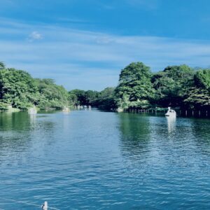 井の頭公園,三鷹,吉祥寺,池,公園,井の頭恩賜公園,