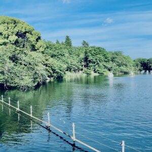 井の頭公園,三鷹,吉祥寺,池,公園,井の頭恩賜公園,