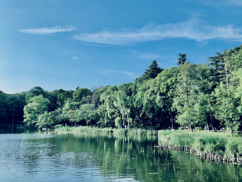 井の頭公園,三鷹,吉祥寺,池,公園,井の頭恩賜公園,