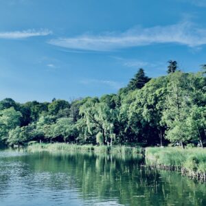 井の頭公園,三鷹,吉祥寺,池,公園,井の頭恩賜公園,