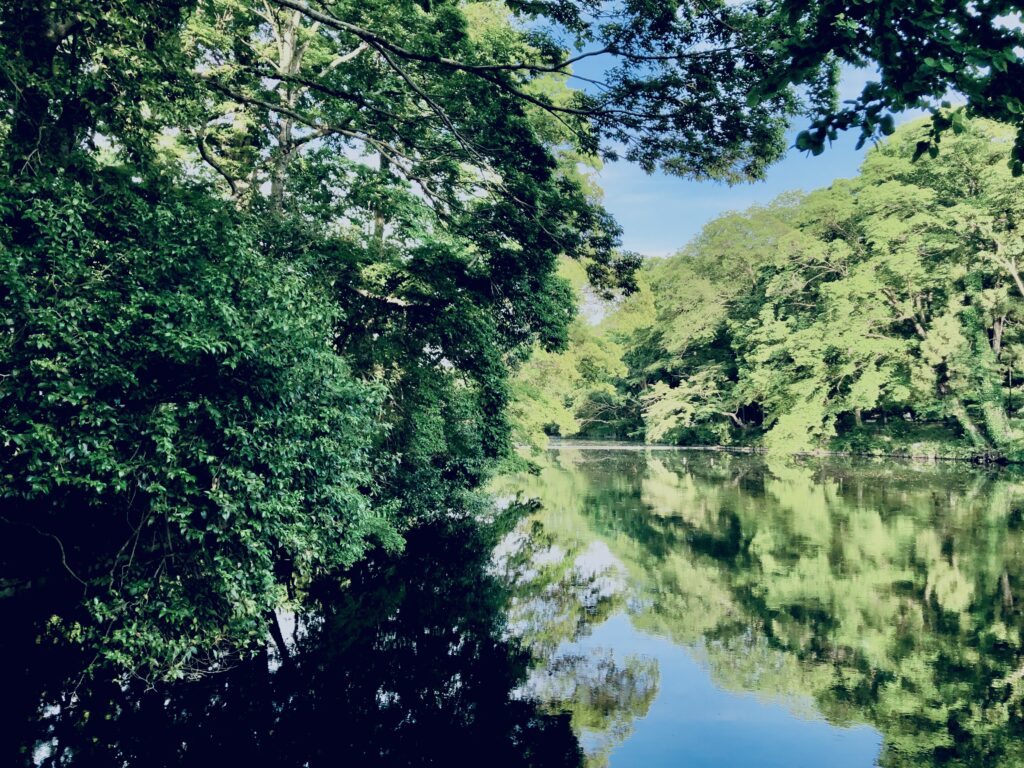 井の頭公園,三鷹,吉祥寺,池,公園,井の頭恩賜公園,