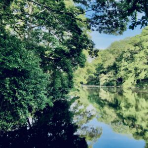 井の頭公園,三鷹,吉祥寺,池,公園,井の頭恩賜公園,
