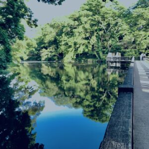 井の頭公園,三鷹,吉祥寺,池,公園,井の頭恩賜公園,