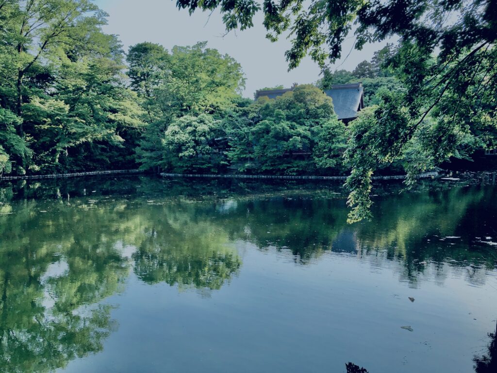 井の頭公園,三鷹,吉祥寺,池,公園,井の頭恩賜公園,