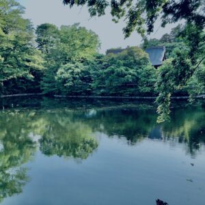 井の頭公園,三鷹,吉祥寺,池,公園,井の頭恩賜公園,