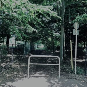 田舎道,砂利道,裏道,街角,林,木,自然,