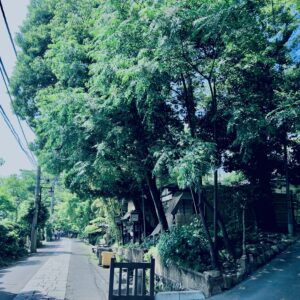 草,神代,水生植物,植物,自然,公園,深大寺,緑,