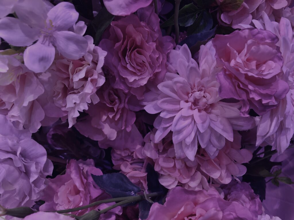 花,テクスチャ,手花水,カラフル,花アート,フラワーアート,