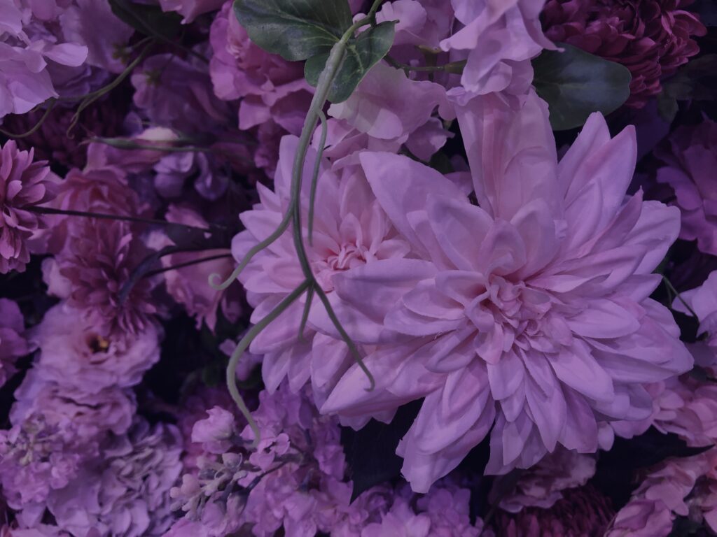 花,テクスチャ,手花水,カラフル,花アート,フラワーアート,