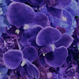 花,テクスチャ,手花水,カラフル,花アート,フラワーアート,