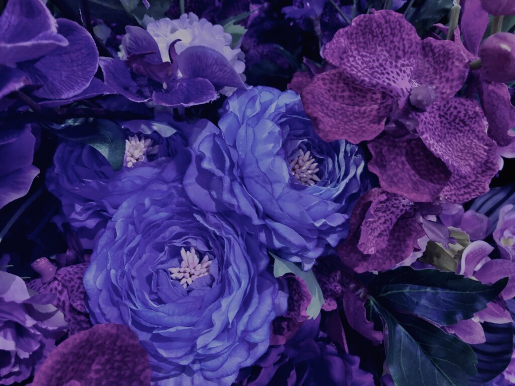 花,テクスチャ,手花水,カラフル,花アート,フラワーアート,