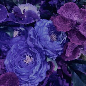 花,テクスチャ,手花水,カラフル,花アート,フラワーアート,