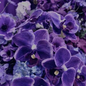 花,テクスチャ,手花水,カラフル,花アート,フラワーアート,