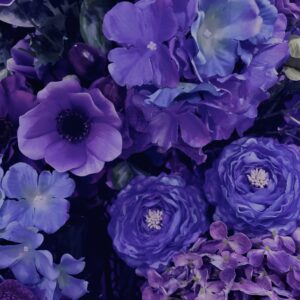 花,テクスチャ,手花水,カラフル,花アート,フラワーアート,
