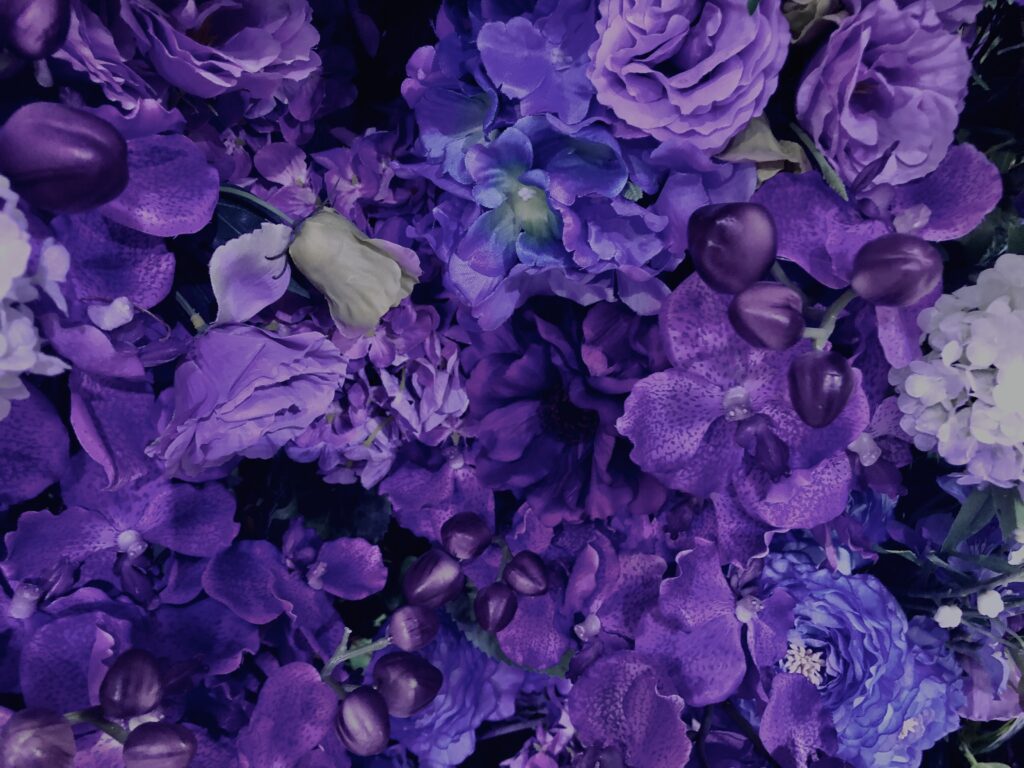 花,テクスチャ,手花水,カラフル,花アート,フラワーアート,