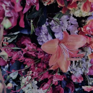 花,テクスチャ,手花水,カラフル,花アート,フラワーアート,