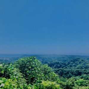 風景,山,空,緑,景観,